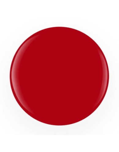 Żel Inspire Soak Off Gel Polish 15ml - Magnetism