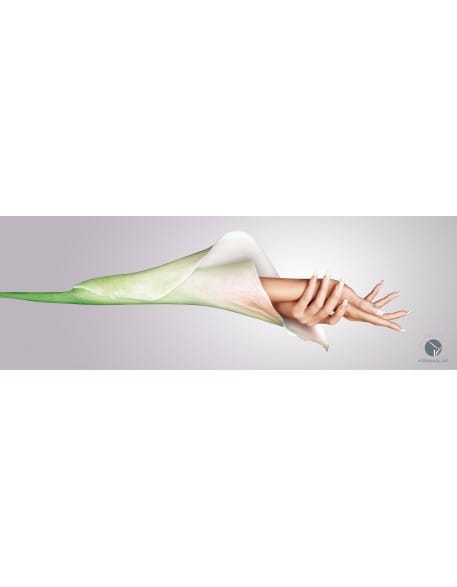Entity Plakat Calla