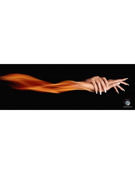 Entity Plakat Flame