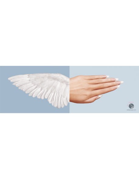 Entity Plakat Wings