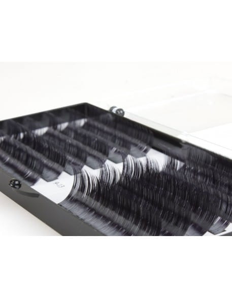 Rzęsy CLD Camellia Star Lashes - C