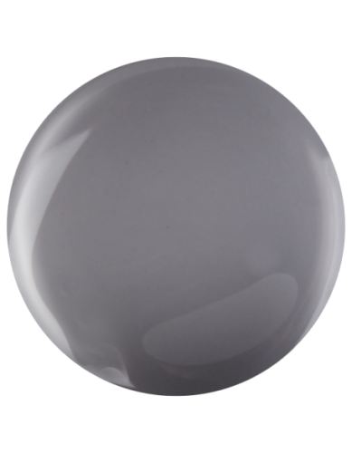 Farbka żelowa nr 40 EFexclusive Paint Gel 5g