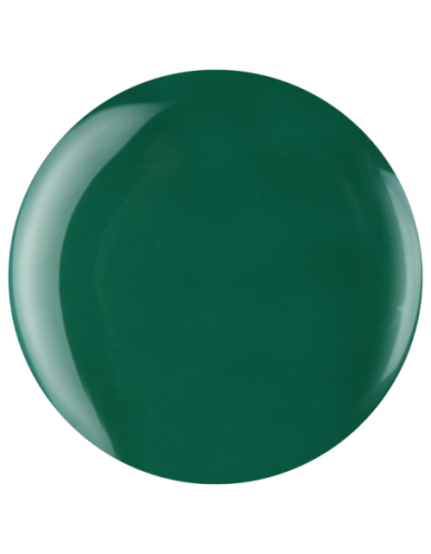 Farbka żelowa nr 43 EFexclusive Paint Gel 5g