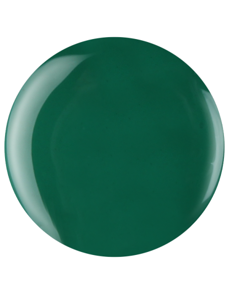 Farbka żelowa nr 43 EFexclusive Paint Gel 5g