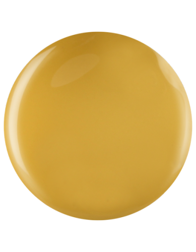 Farbka żelowa nr 44 EFexclusive Paint Gel 5g