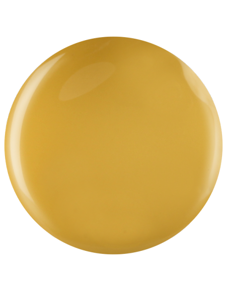 Farbka żelowa nr 44 EFexclusive Paint Gel 5g