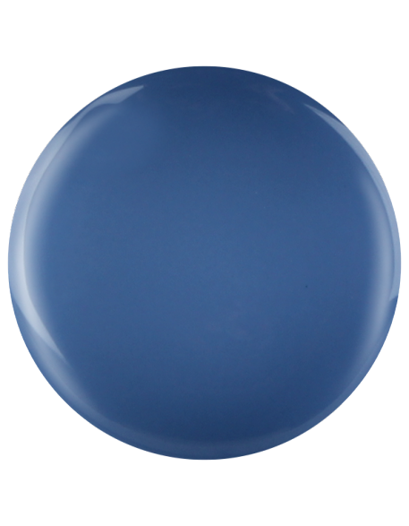 Farbka żelowa nr 45 EFexclusive Paint Gel 5g