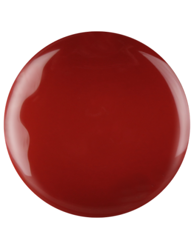 Farbka żelowa nr 46 EFexclusive Paint Gel 5g