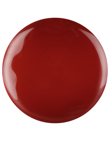 Farbka żelowa nr 46 EFexclusive Paint Gel 5g