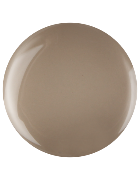 Farbka żelowa nr 47 EFexclusive Paint Gel 5g