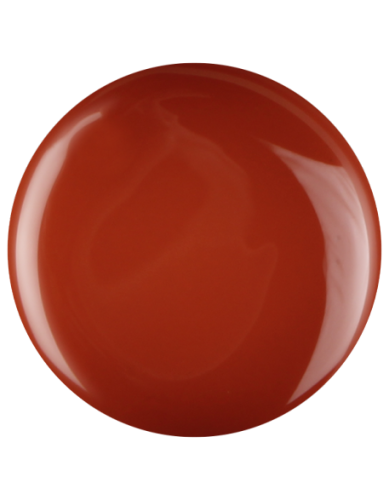 Farbka żelowa nr 48 EFexclusive Paint Gel 5g