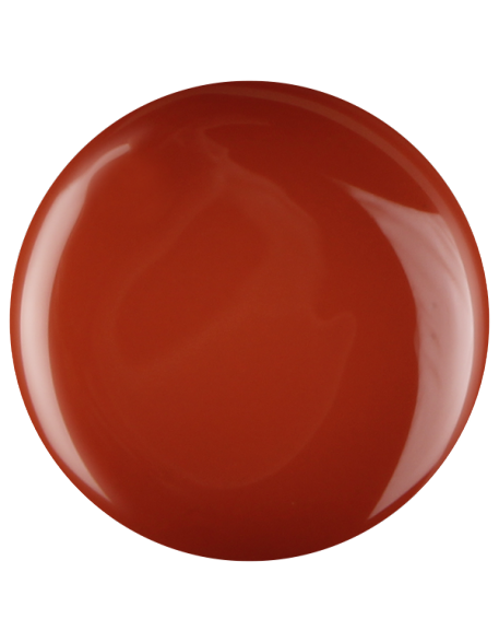 Farbka żelowa nr 48 EFexclusive Paint Gel 5g