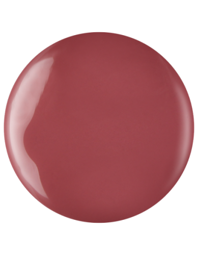 Farbka żelowa nr 49 EFexclusive Paint Gel 5g