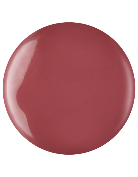 Farbka żelowa nr 49 EFexclusive Paint Gel 5g