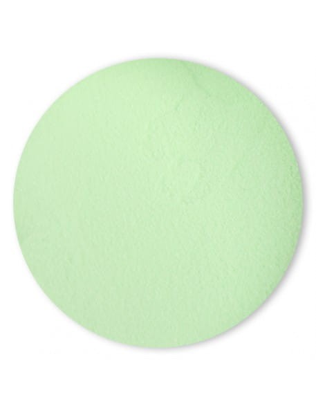 Puder kolorowy 4Pro Nail Tech 6g - Absinth