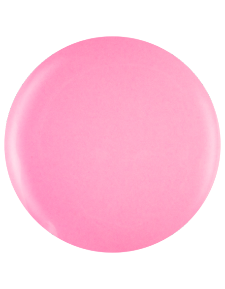 Farbka żelowa nr 53 EFexclusive Paint Gel 5g