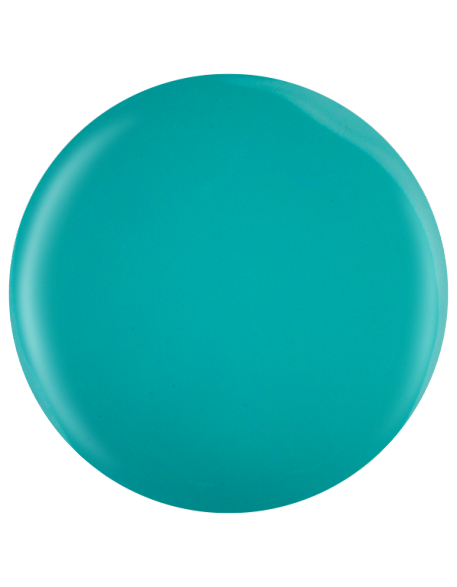 Farbka żelowa nr 54 EFexclusive Paint Gel 5g