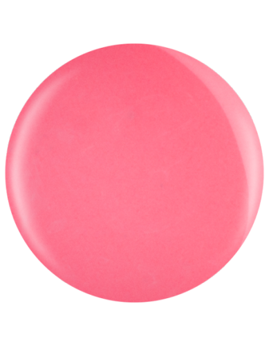 Farbka żelowa nr 55 EFexclusive Paint Gel 5g