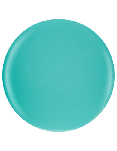 Farbka żelowa nr 57 EFexclusive Paint Gel 5g