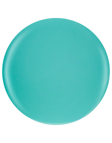 Farbka żelowa nr 57 EFexclusive Paint Gel 5g