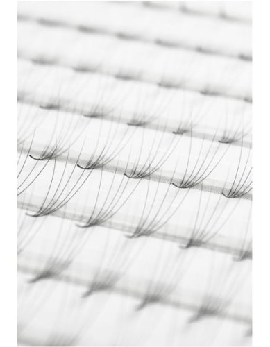 Rzęsy CLD 5D Camellia Volume Express