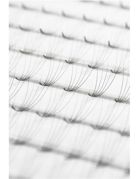 Rzęsy CLD 5D Camellia Volume Express