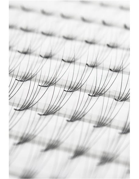 Rzęsy CLD 5D Camellia Volume Express