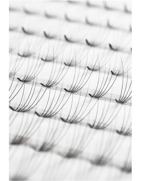 Rzęsy CLD 5D Camellia Volume Express