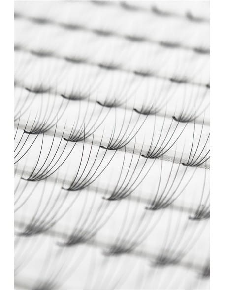 Rzęsy CLD 5D Classic Volume Express