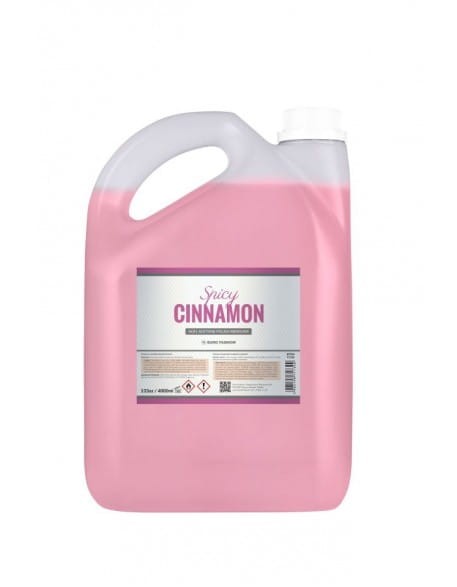 Zmywacz Euro Fashion Spicy Cinnamon 4L