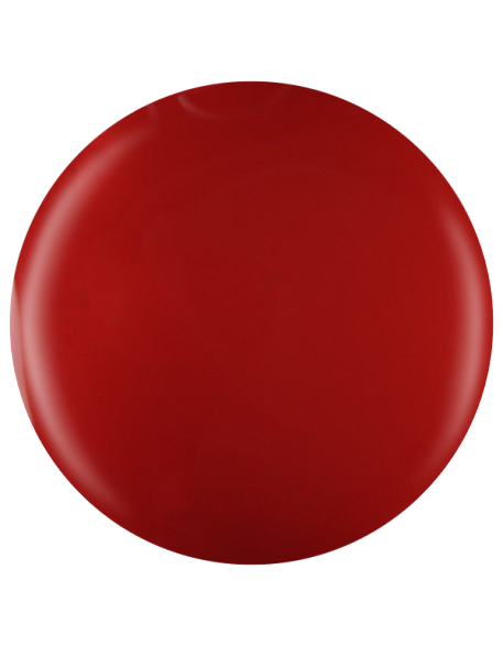 Farbka żelowa nr 59 EFExclusive Paint Gel 5g