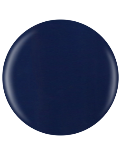 Farbka żelowa nr 66 EFexclusive Paint Gel 5g