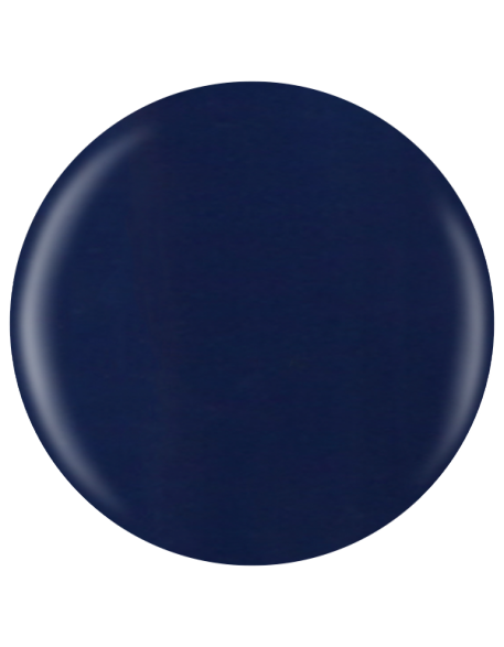 Farbka żelowa nr 66 EFexclusive Paint Gel 5g