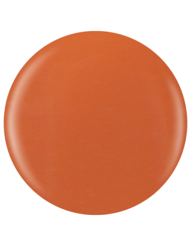 Farbka żelowa nr 67 EFexclusive Paint Gel 5g