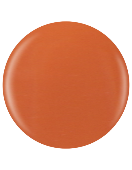 Farbka żelowa nr 67 EFexclusive Paint Gel 5g