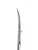 Nożyczki Staleks Pro Expert 50|3 Cuticle Scissors