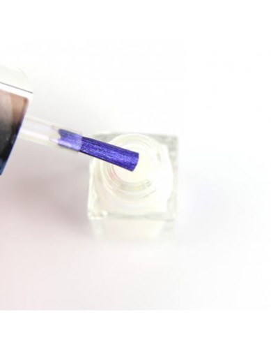 Pyłek w płynie Mirror Liquid Premium by Euro Fashion 5ml - no. 10