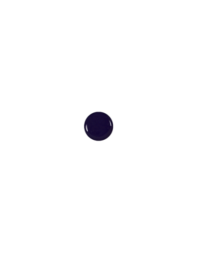 Kolorowy żel do trwałego zdobienia Christrio Basic One Designer Gel - 15 ml - Navy Blue