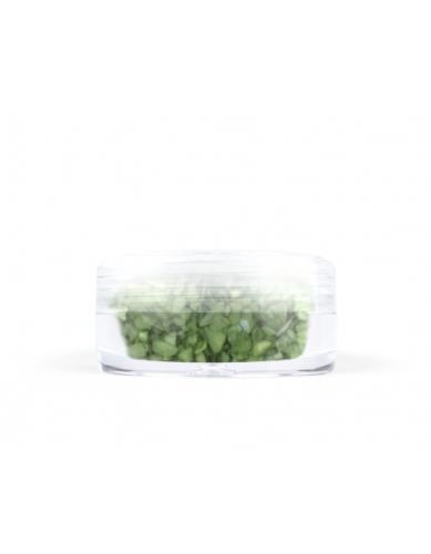 Ozdoby muszelki - zielone jasne