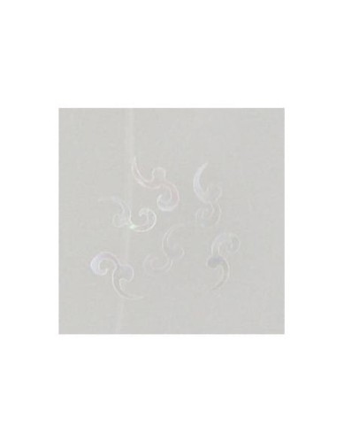 Ozdoby z muszelek 20szt. wzór nr 06 - białe opalizujące