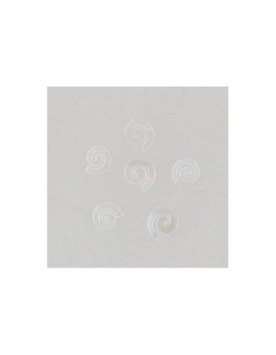 Ozdoby z muszelek 20szt. wzór nr 01 - białe opalizujące