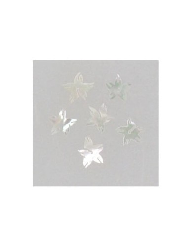 Ozdoby z muszelek 20szt. wzór nr 10 - białe opalizujące