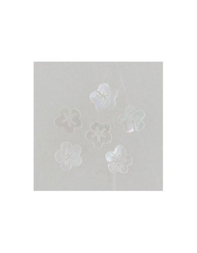 Ozdoby z muszelek 20szt. wzór nr 12 - białe opalizujące