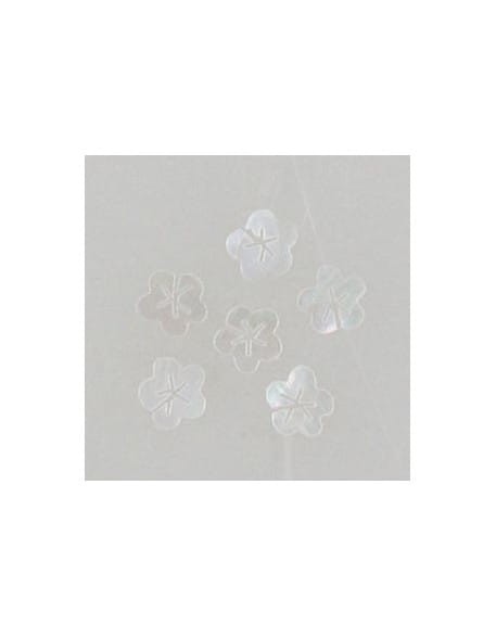 Ozdoby z muszelek 20szt. wzór nr 12 - białe opalizujące