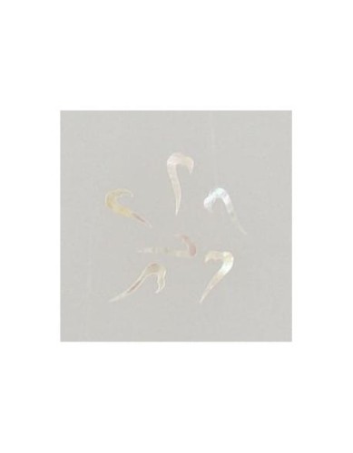 Ozdoby z muszelek 20szt. wzór nr 09 - białe opalizujące