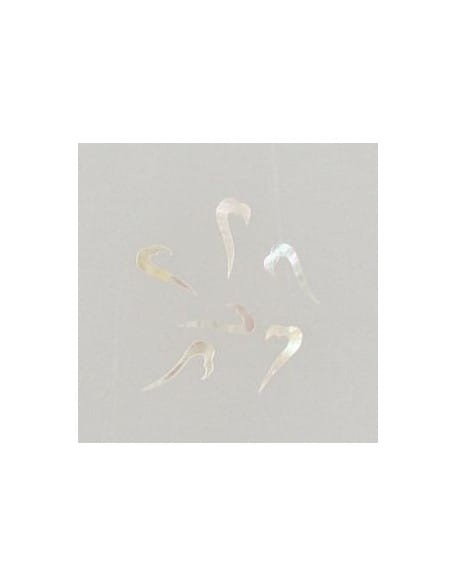 Ozdoby z muszelek 20szt. wzór nr 09 - białe opalizujące