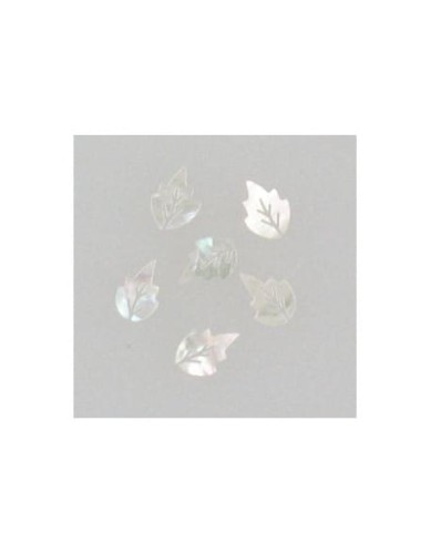 Ozdoby z muszelek 20szt. wzór nr 03 - białe perłowe opalizujące