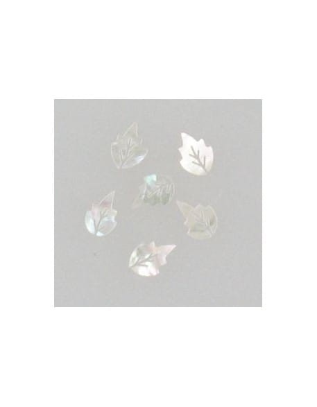 Ozdoby z muszelek 20szt. wzór nr 03 - białe perłowe opalizujące