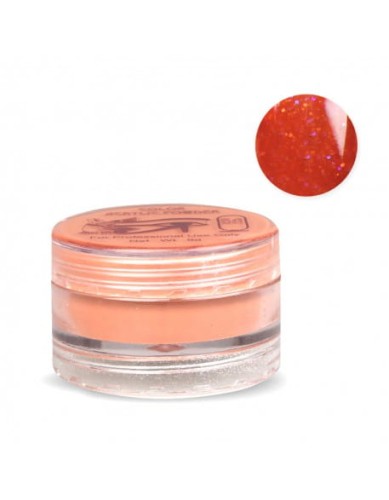 Puder kolorowy RaNails  6g - Glitter Brick