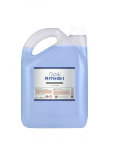 Zmywacz Euro Fashion Wild Peppermint 4L
